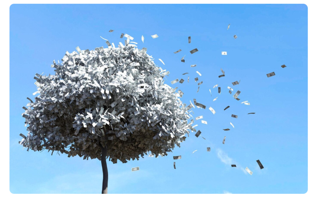 money tree